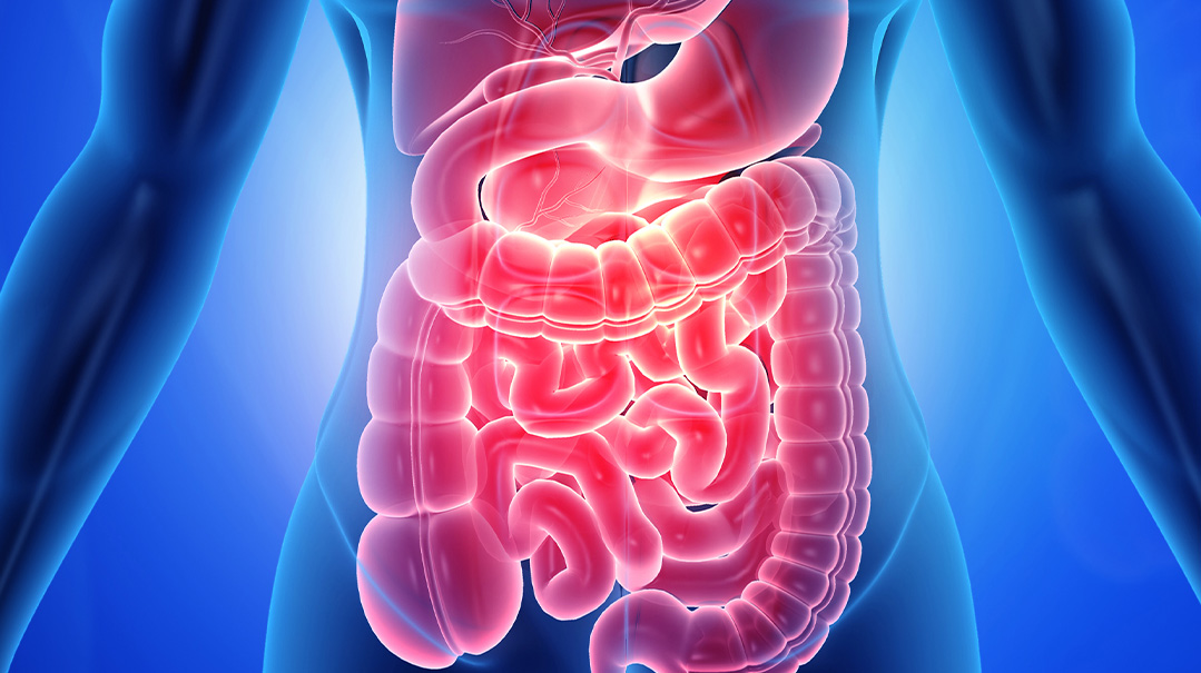 Gut Reaction