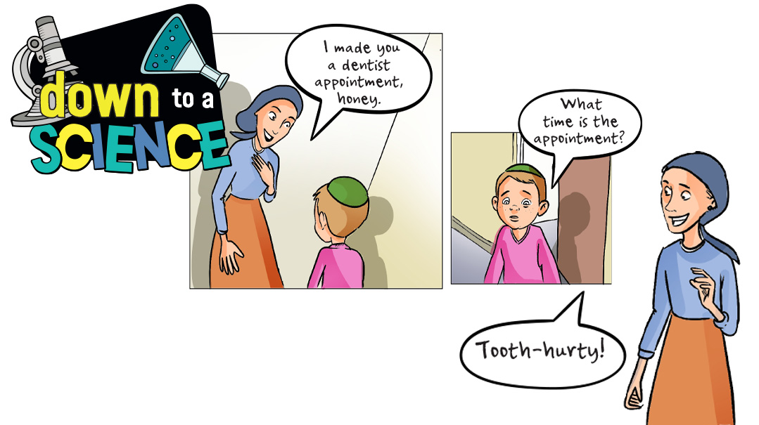 Baby Teeth      