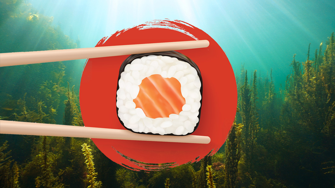 From Seaweed to Sushi