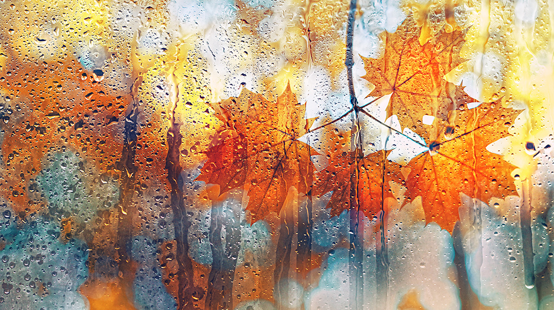 Like Raindrops in the Wind   