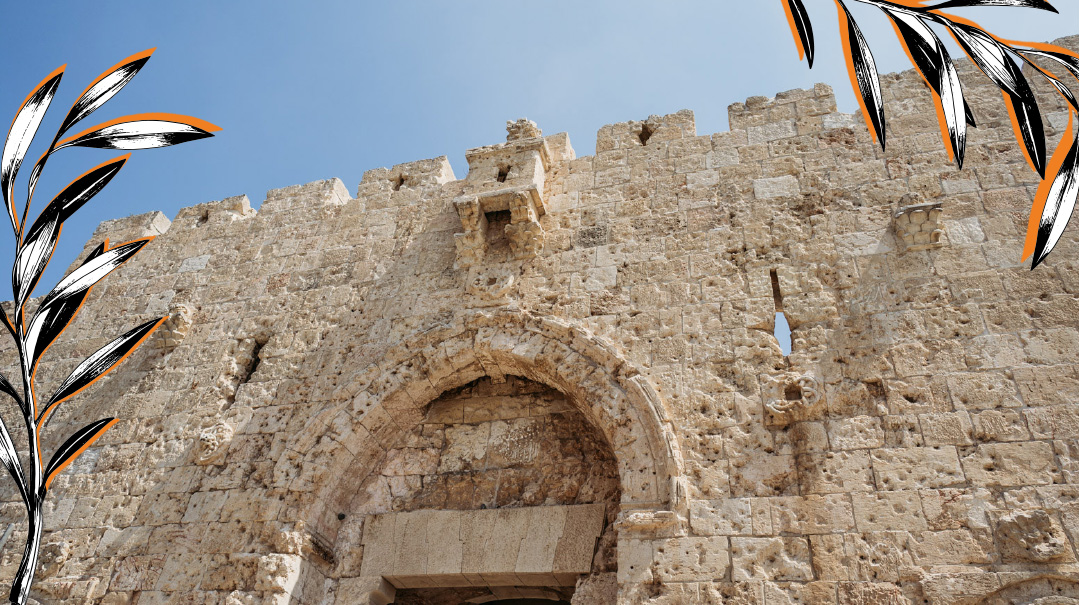 The Secrets of the Old City 
