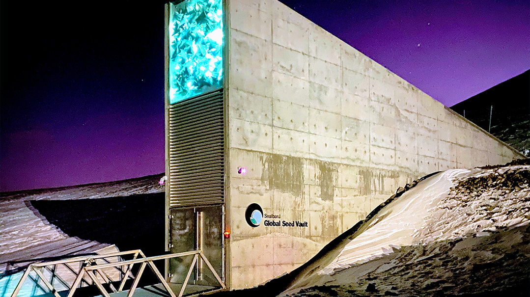 The Seed Vault    