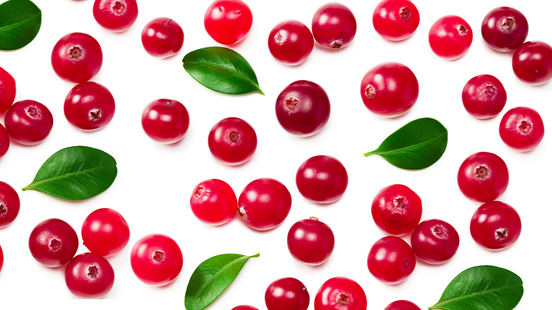 Cranberry Sauce