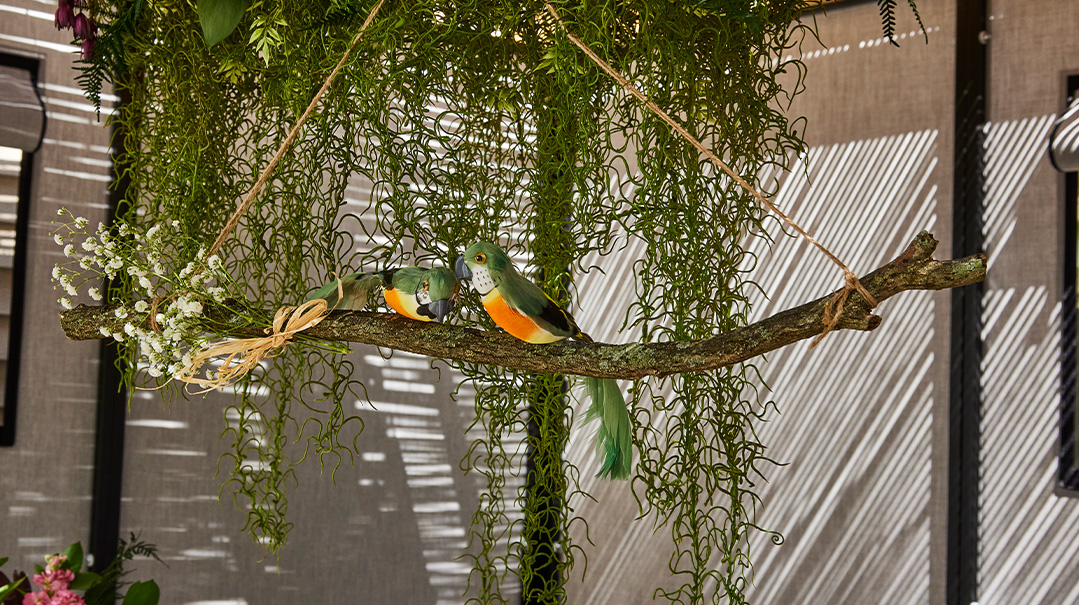 Your Succah Made Special