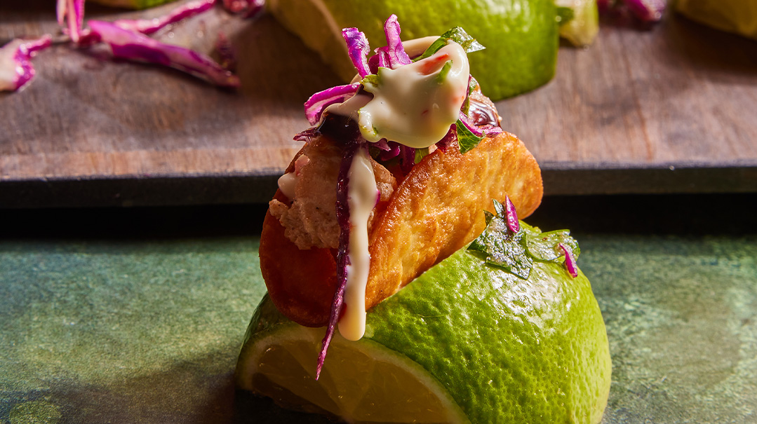 Teriyaki Salmon and Slaw Tacos