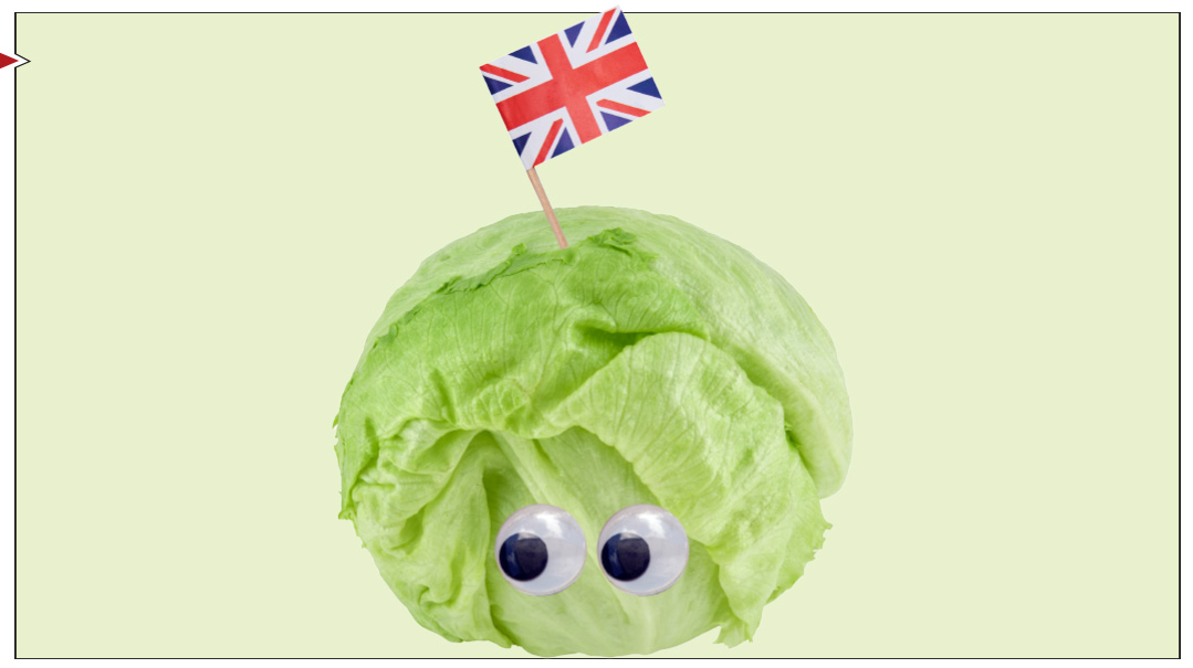 British Politics Takes Leaf of its Senses