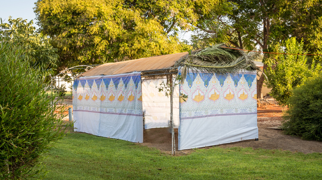 My Father's Succah    