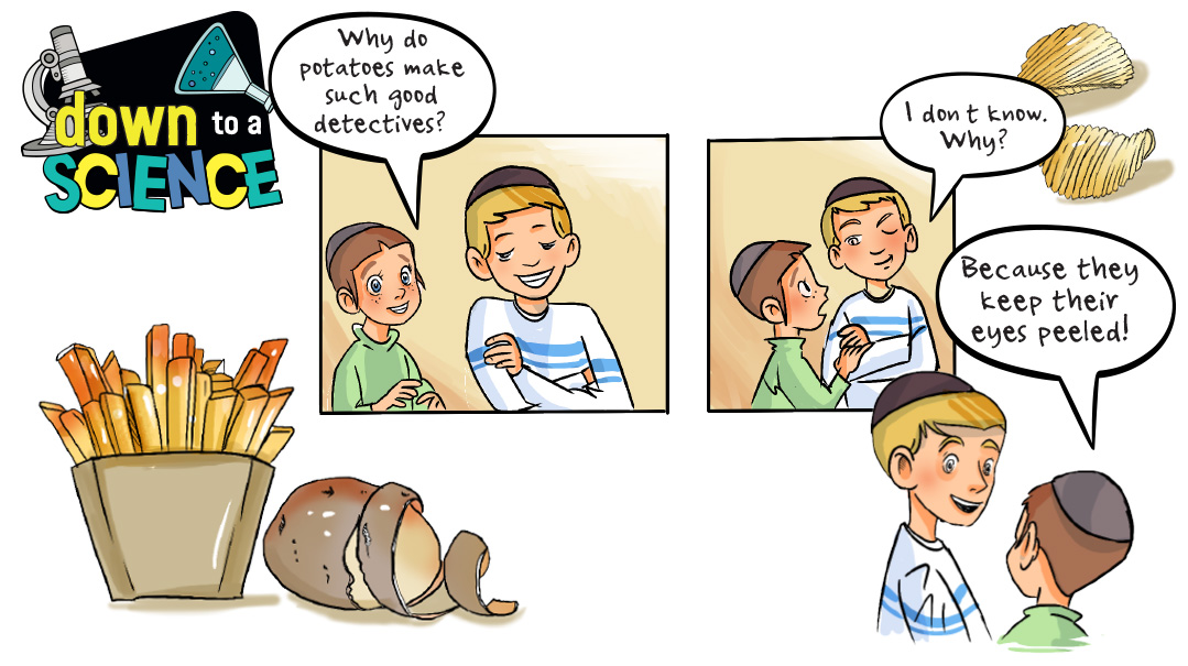 Potatoes