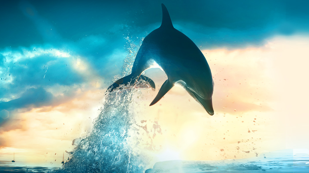 Leaping  to Save Lives