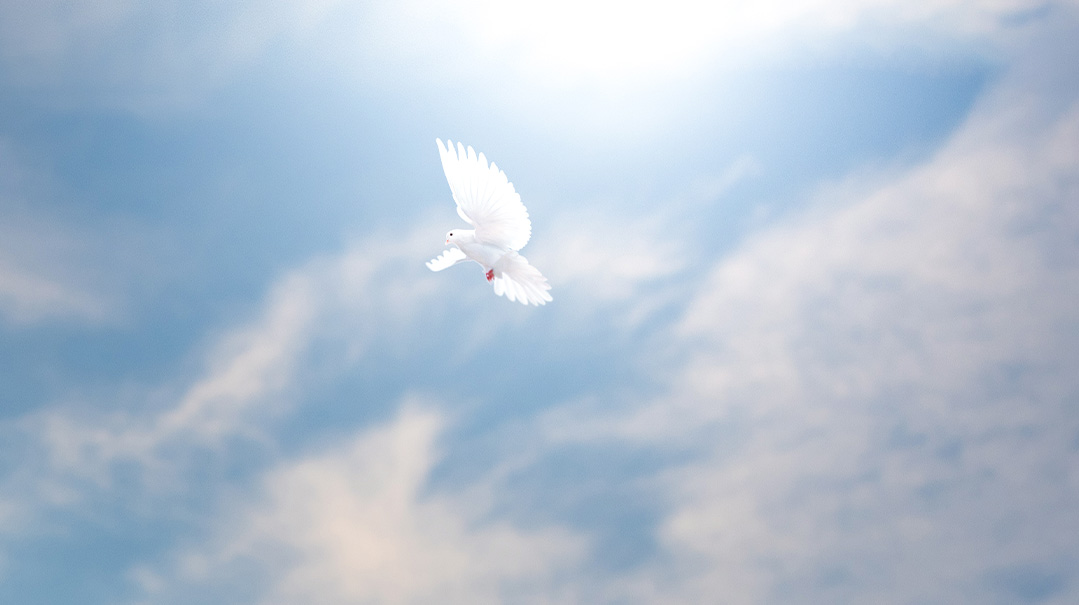 Breaking Free