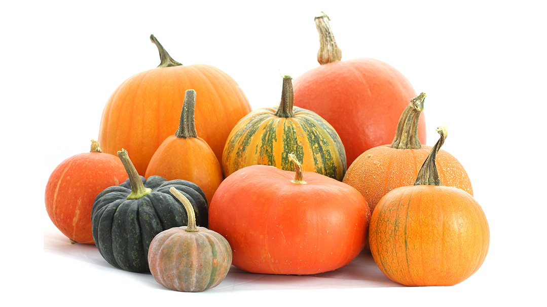 Pumpkin