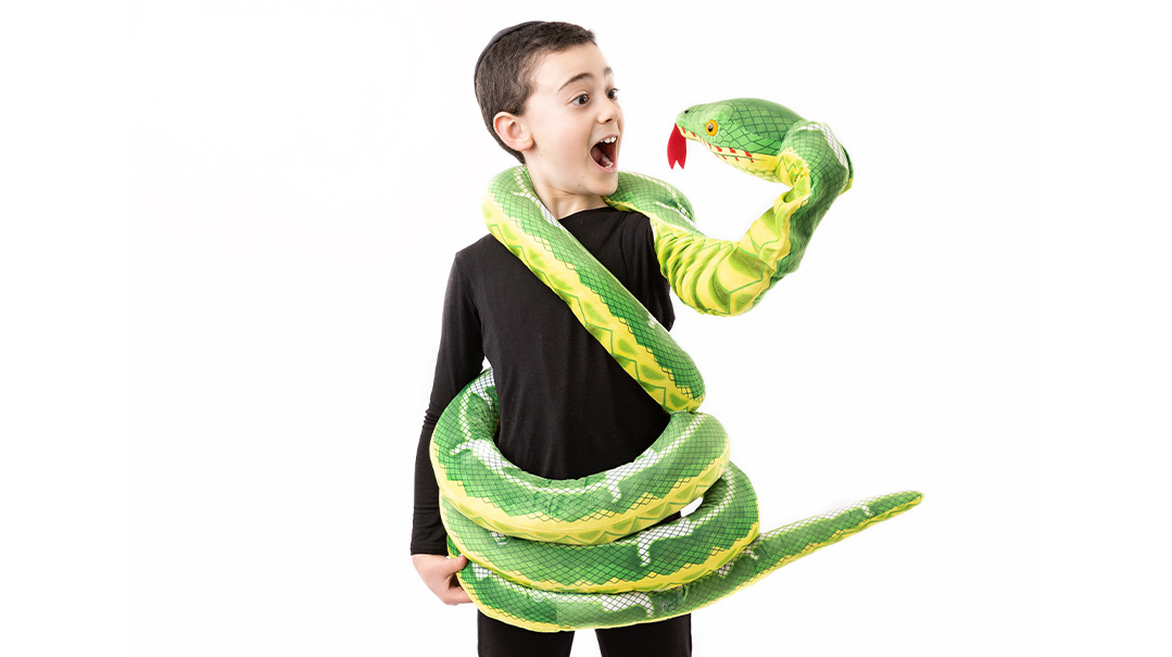 Going Wild with Comfy Costumes     