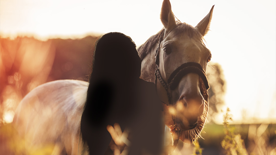 Blinders