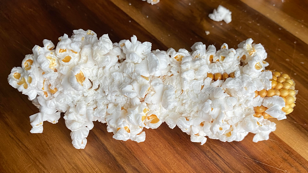 From my Table: Popcorn on the Cob