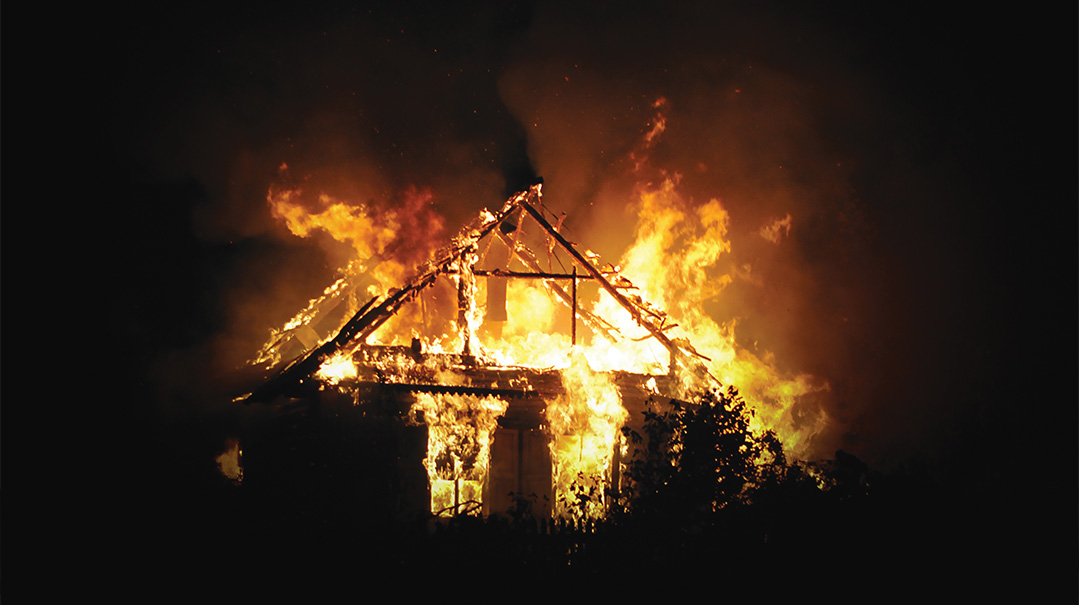 From the Ashes
