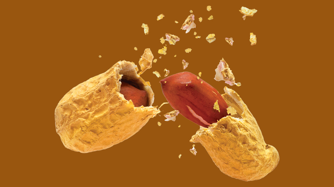 Just One Bite