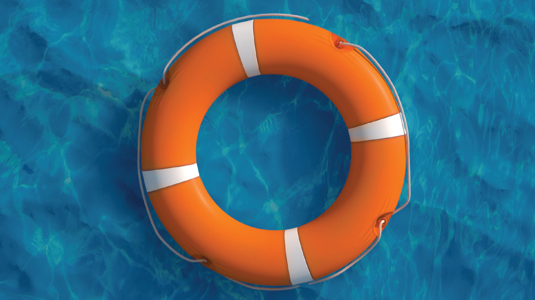 Taking The Plunge