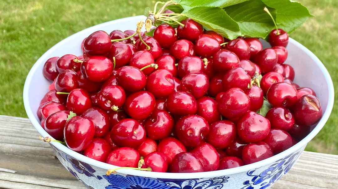 Family Table: Summer Dessert