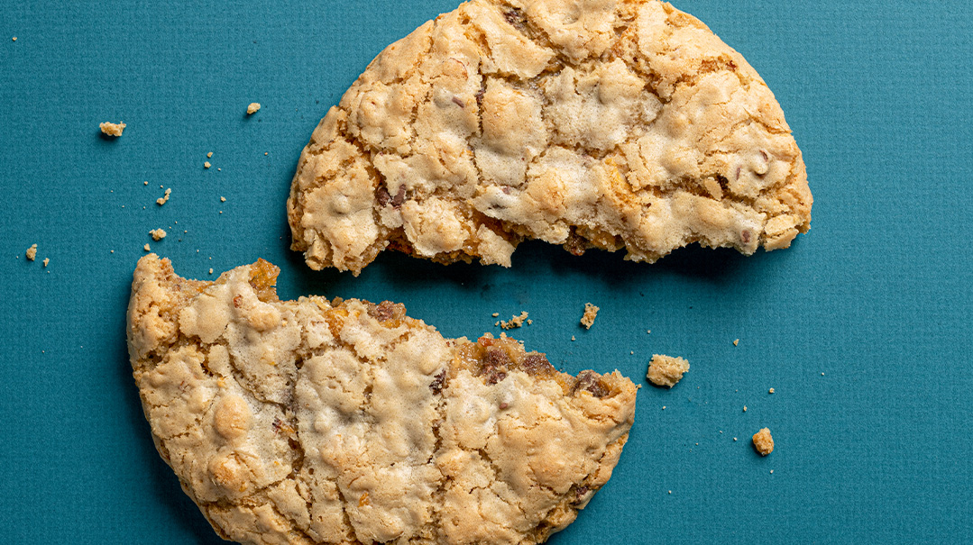 Crunchy Cappuccino Oatmeal Cookies