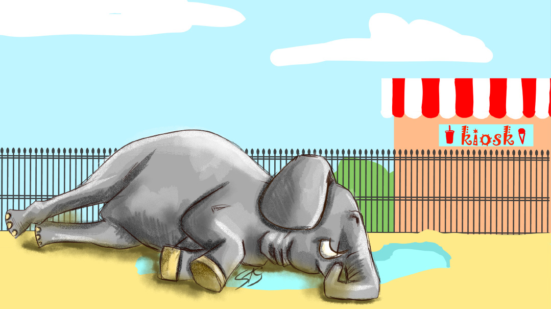 Elephant Problems