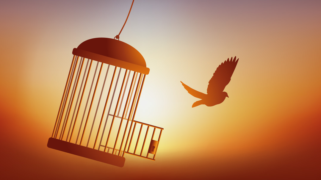 Learning to Fly