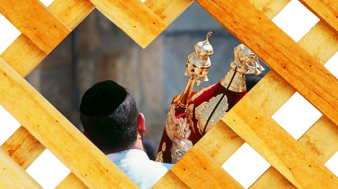 The Torah is Everywhere