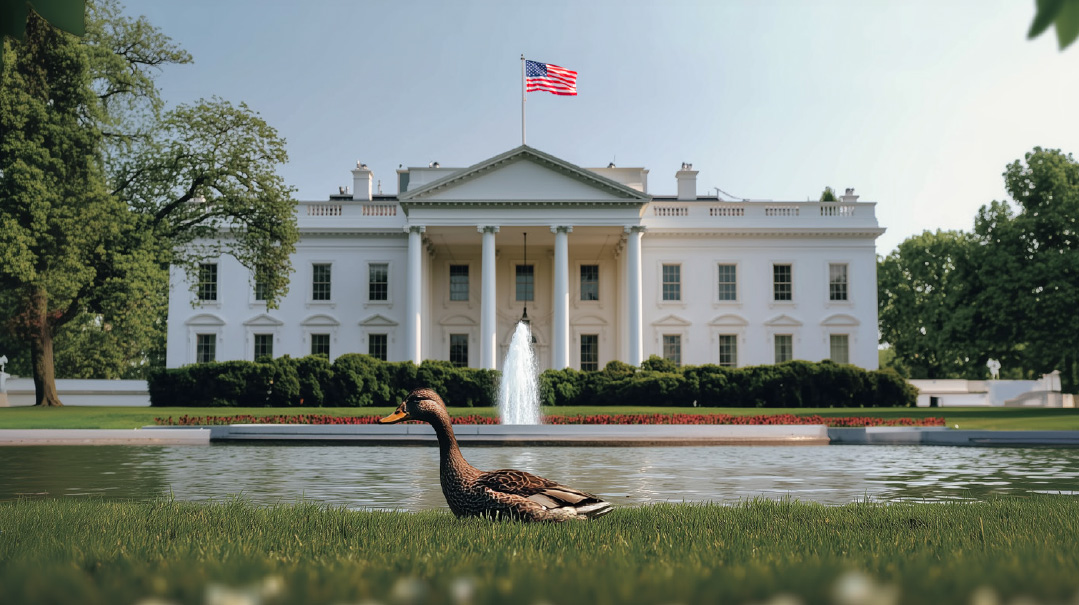 Quacklash in Washington: The Lame-Duck Debate