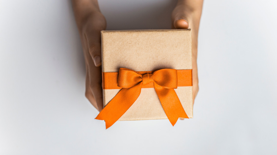 Family Living: Chanukah Gift Guide 