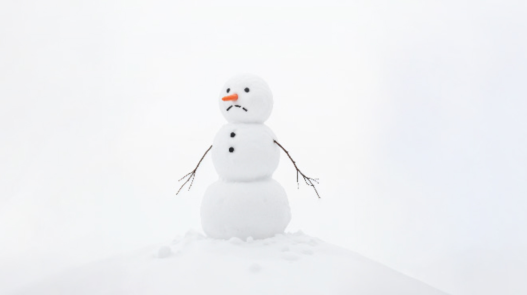 Snow Much Fun   