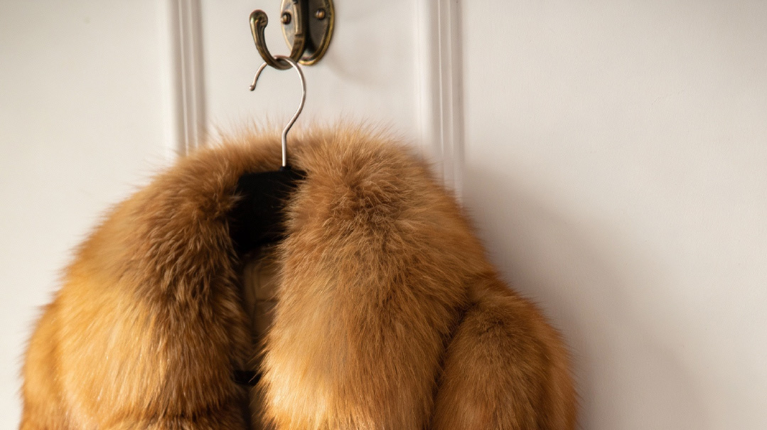 The Fur Coat