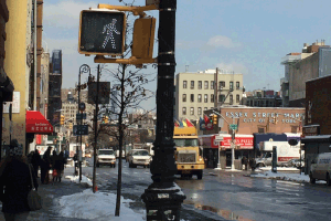Global    Palate:    Lower    East    Side    Story