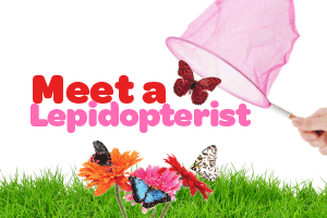 Meet    a    Lepidopterist