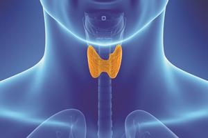 The    Faces    and    Facts    of    Thyroid    Disorder