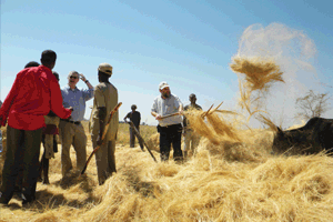 No    Vital    Signs    in    Djibouti