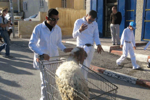 Pre-Pesach    Production    Lines