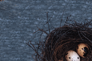 Savoring    Our    Small    Families