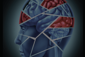 Shattered    Minds