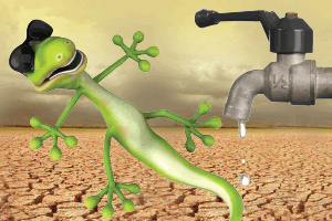Ten    Ways    to    Save    Water
