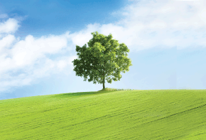 Recycling    in    Rockland    County
